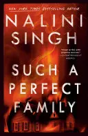 Cover of Such a Perfect Family