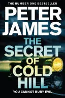 Cover of The Secret of Cold Hill