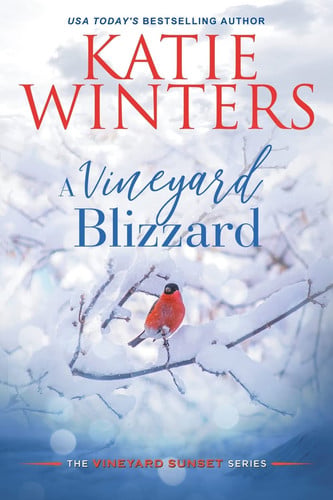 Cover of A Vineyard Blizzard