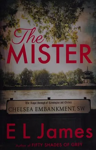 The Mister — series cover
